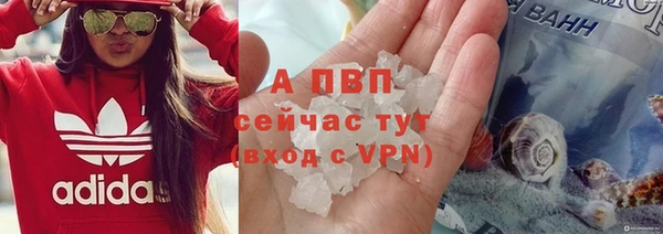 твердый Балахна