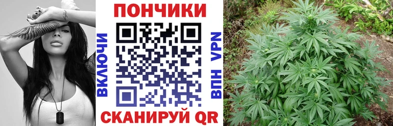 купить   Черепаново  Шишки марихуана марихуана 
